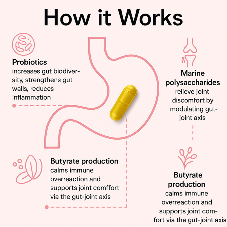 Revilyn MENOGUT™ - End Menopausal Joint Pain In 90 Days
