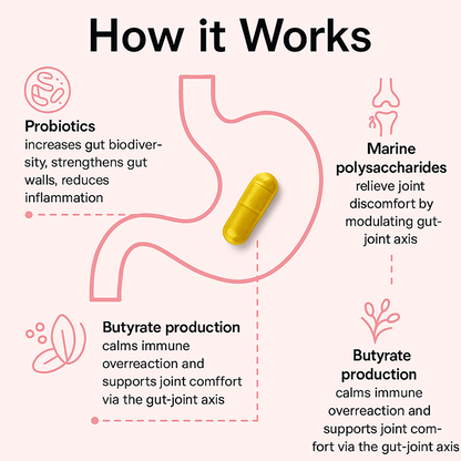 Revilyn MENOGUT™ - End Menopausal Joint Pain In 90 Days